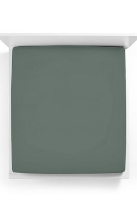 Bella Donna Hoeslaken Jersey Eenpersoons vintage groen - 0634 70/190-80/220