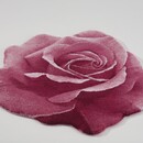 Abyss  Abyss & Habidecor Passion Badmat  0/90 573 Flamingo