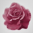 Abyss  Abyss & Habidecor Passion Badmat  0/90 573 Flamingo