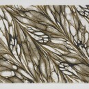 Abyss  Abyss & Habidecor Diane Badmat  70X120 800 Goud