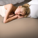 Bella Donna Bella Donna Hoeslaken Jersey Lits-Jumeaux champignon-0115 180/200-200/220