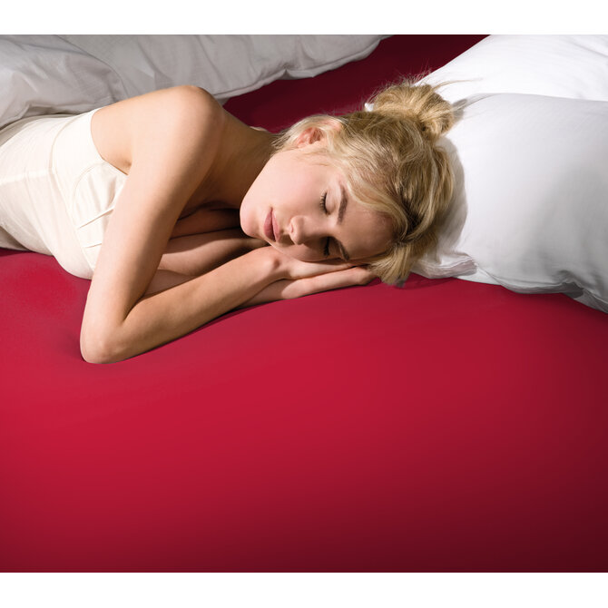 Bella Donna Hoeslaken Jersey Twijfelaar rood-0185 120/190-130/220