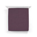 Bella Donna Bella Donna Hoeslaken Jersey Eenpersoons violett-0546 70/190-80/220