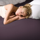 Bella Donna Bella Donna Hoeslaken Jersey Eenpersoons violett-0546 90/190-100/220