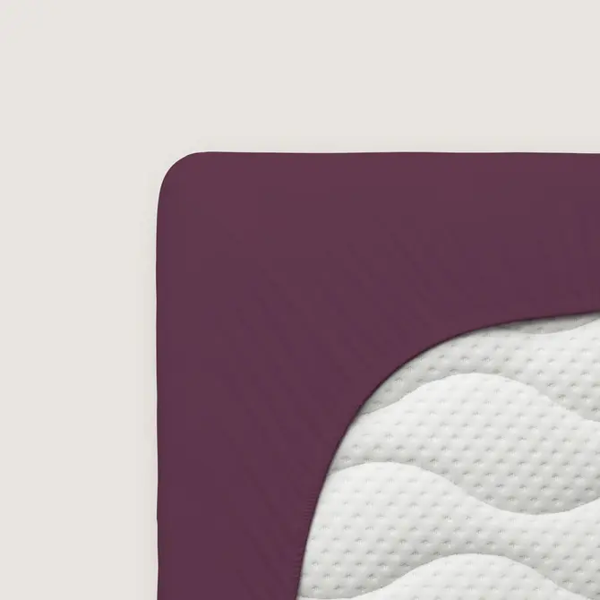 Schlafgut Pure Jersey Hoeslaken L - 140x200 - 160x220 542 Purple Deep