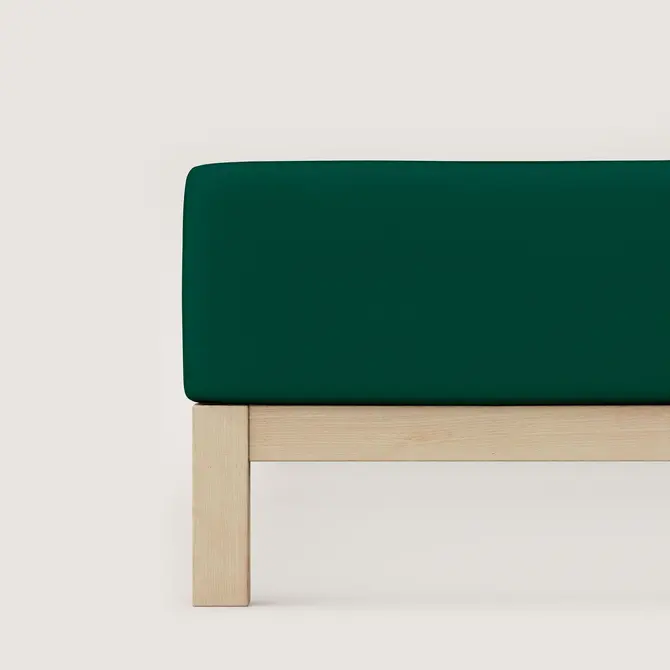 Schlafgut Pure Jersey Hoeslaken XL - 180x200 - 200x220 690 Green Deep