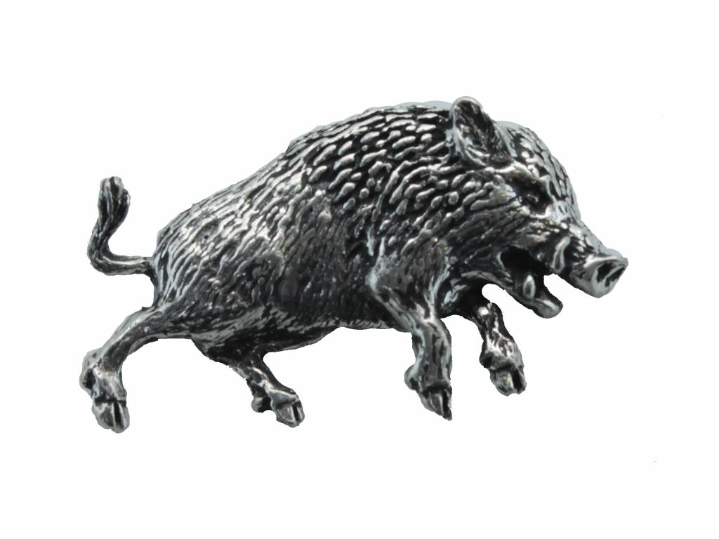 DTR Wild boar running