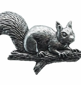 DTR Squirrel on branch