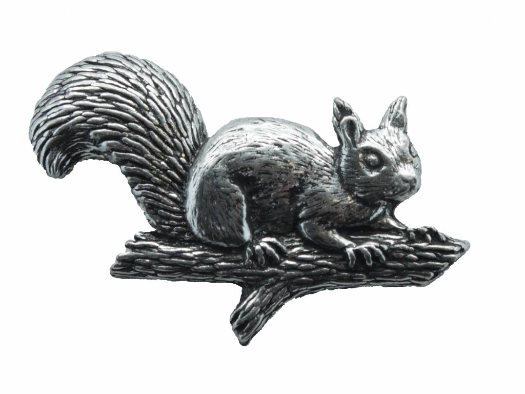 DTR Squirrel on branch