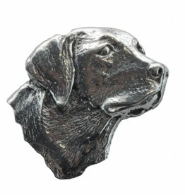 DTR Labrador’s head