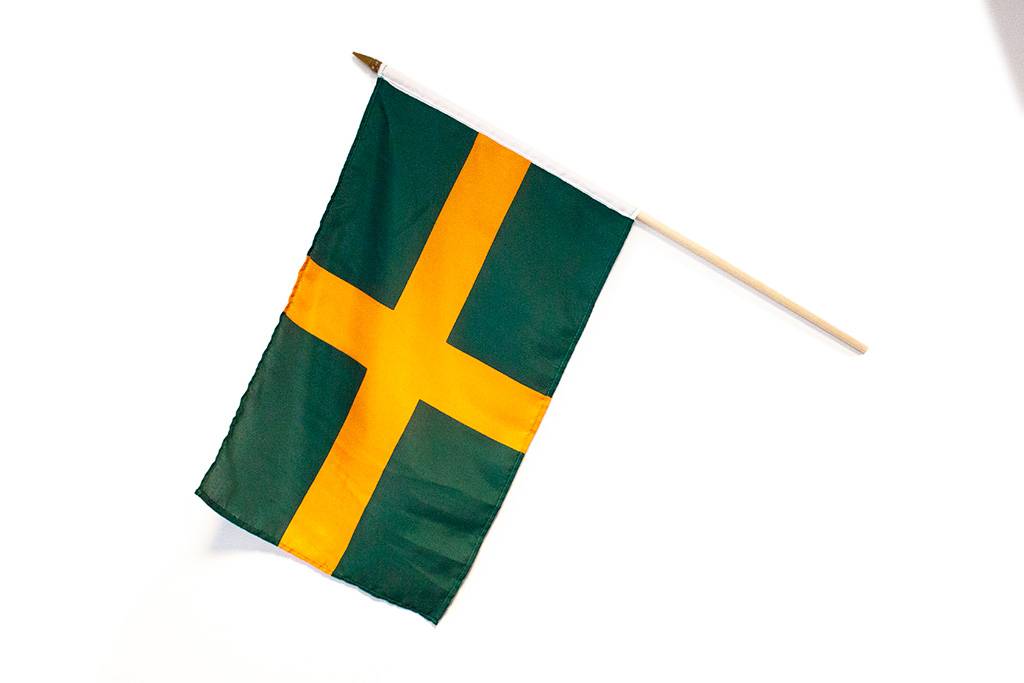 4Daagse flag on stick