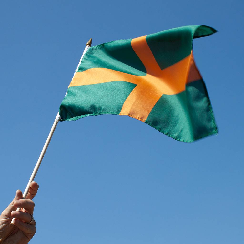 4Daagse flag on stick