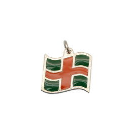 DTR Vierdaagse vlag hanger