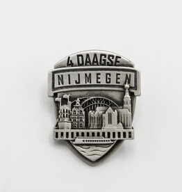 DTR Pin Nijmegen skyline