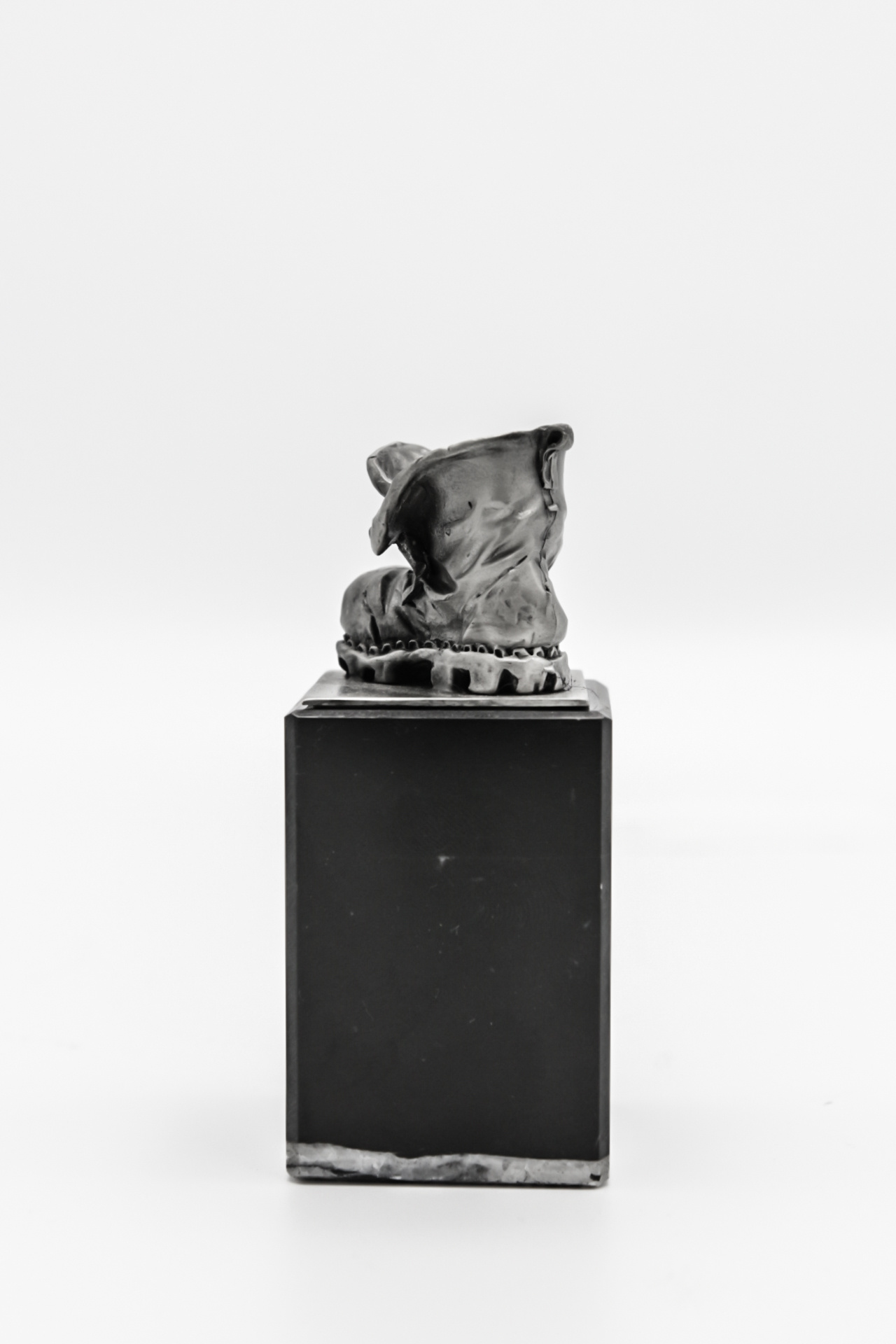 DTR Walking shoe on pedestal