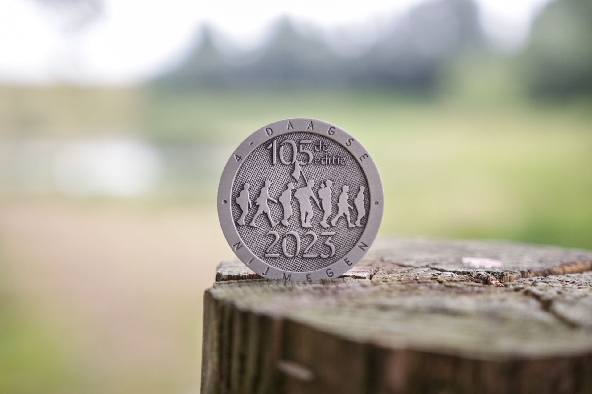 DTR Walk of the World edition coin