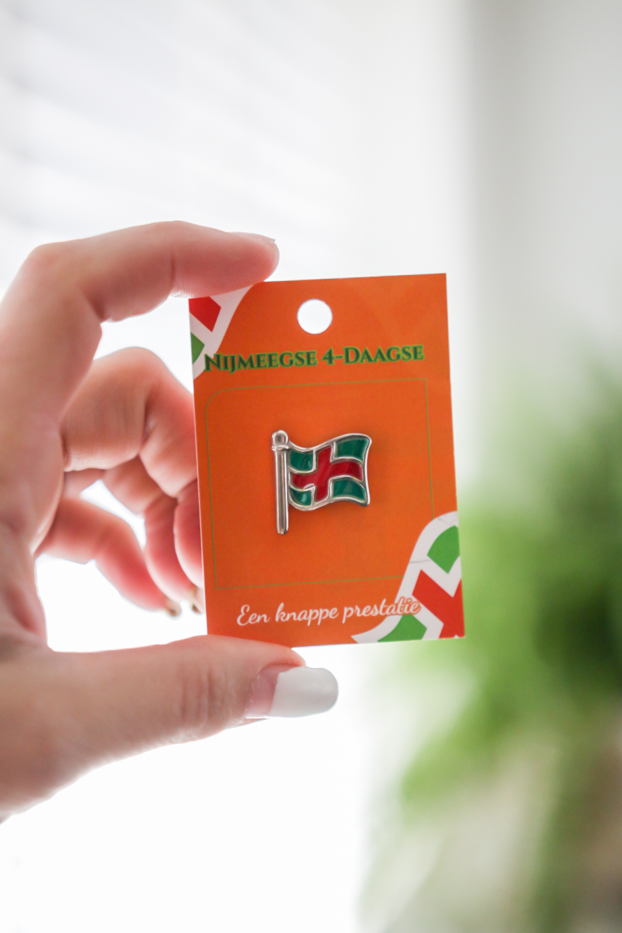 DTR Pin Nijmegen Four Days Marches flag