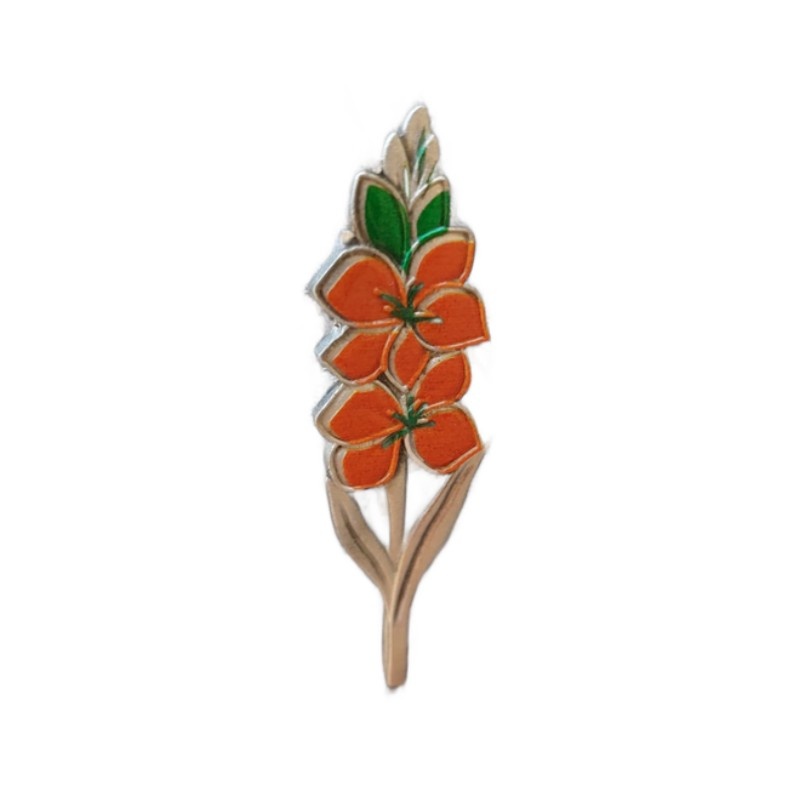 DTR Gladiolus Pin 4Daagse Colors