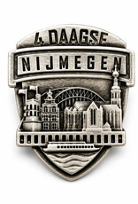 DTR Pin Nijmegen skyline