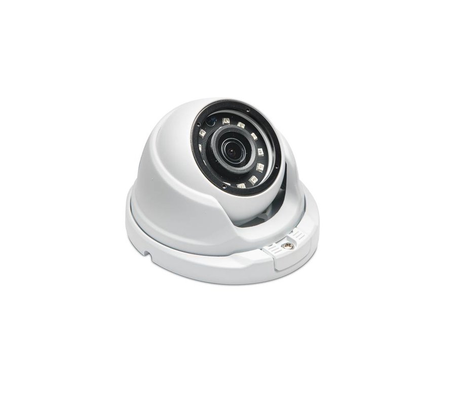 Basic Dome Beveiligingscamera met Sony 2mp Cmos