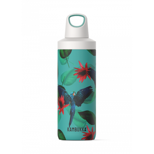Kambukka RENO INSULATED 500 ML Parrots Kambukka RENO INSULATED 500 ML Parrots
