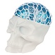 Novus Fumus Squishy Squeezable Skull Head Novus Fumus Squishy Squeezable Skull Head