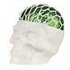 Novus Fumus Squishy Squeezable Skull Head Novus Fumus Squishy Squeezable Skull Head