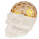 Novus Fumus Squishy Squeezable Skull Head Novus Fumus Squishy Squeezable Skull Head