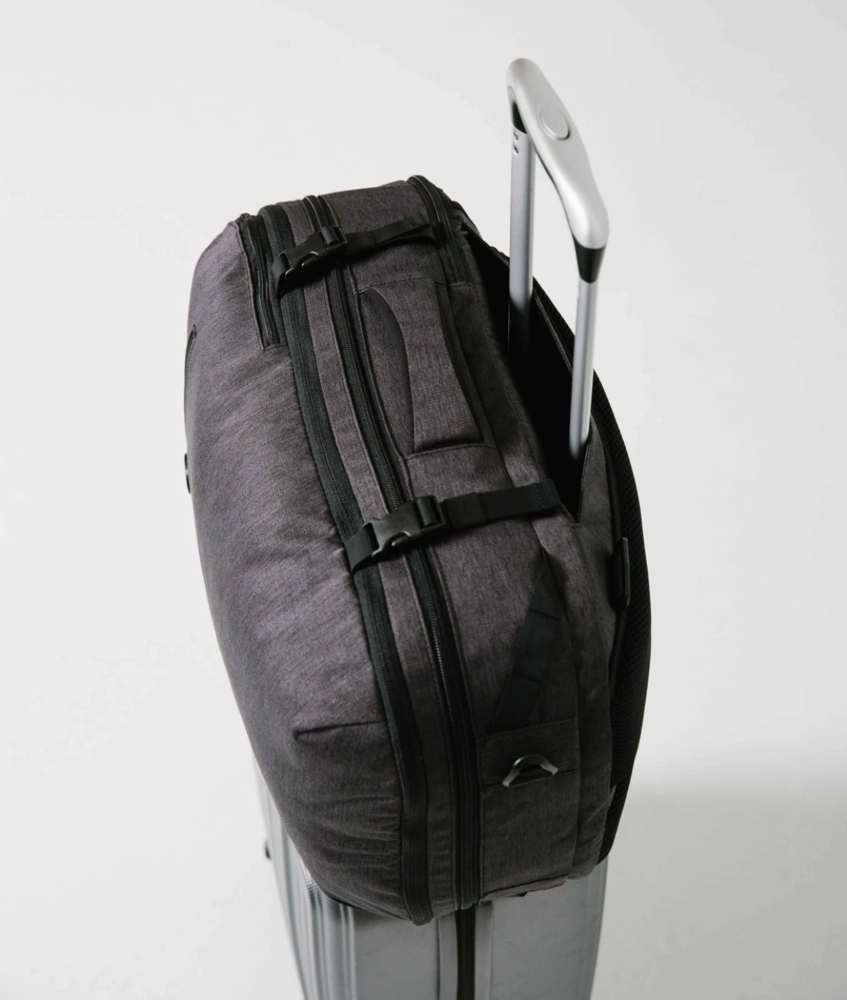 tortuga set out divide