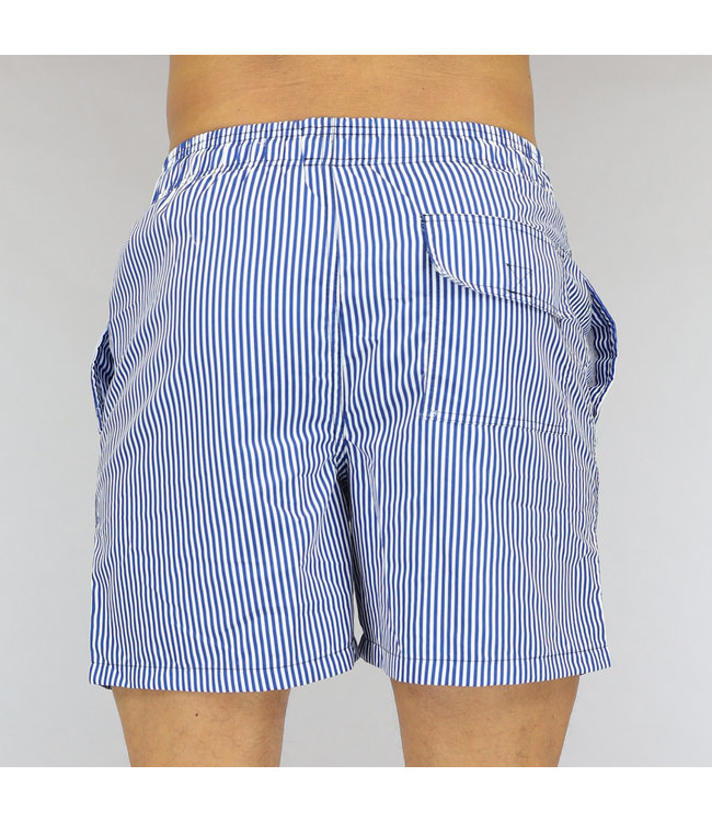 Blauw Gestreepte Heren Zwembroek
