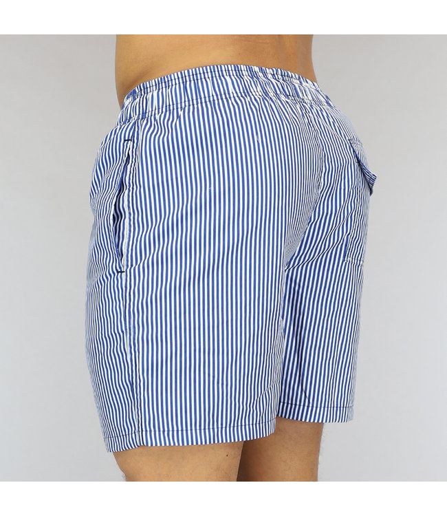 Blauw Gestreepte Heren Zwembroek