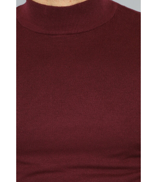 Comfortabele Bordeaux Rode Heren Trui met Col