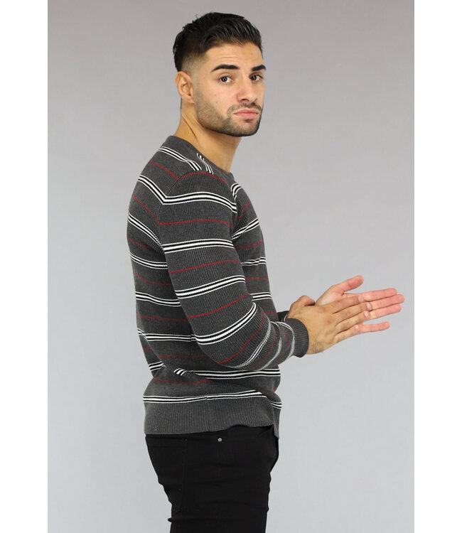 Nette Gestreepte Heren Trui Black Leo