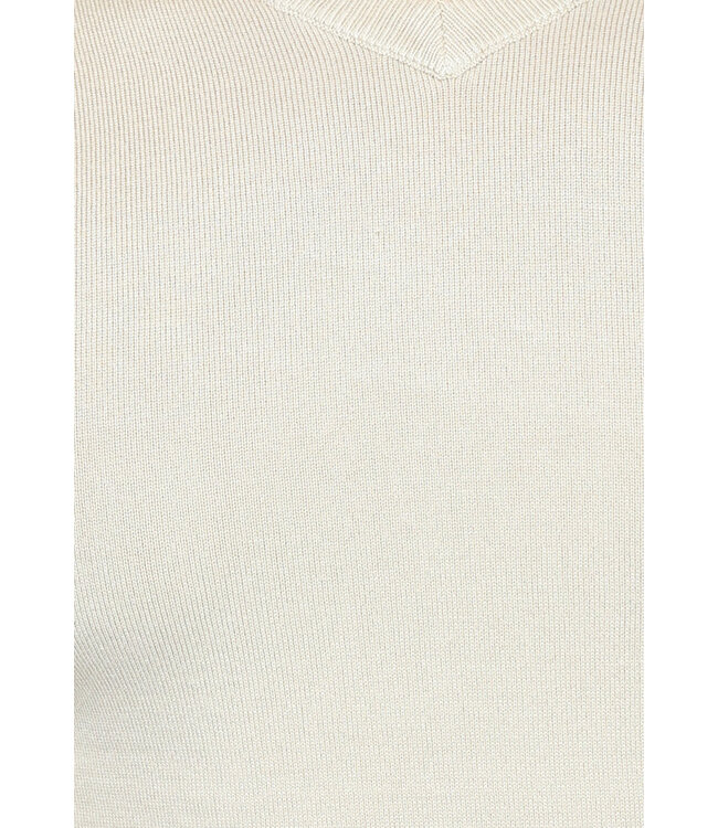 Gebreide Heren Pullover met V Hals in Beige