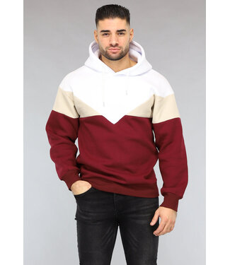 Multicolor Heren Hoodie Zonder Zak