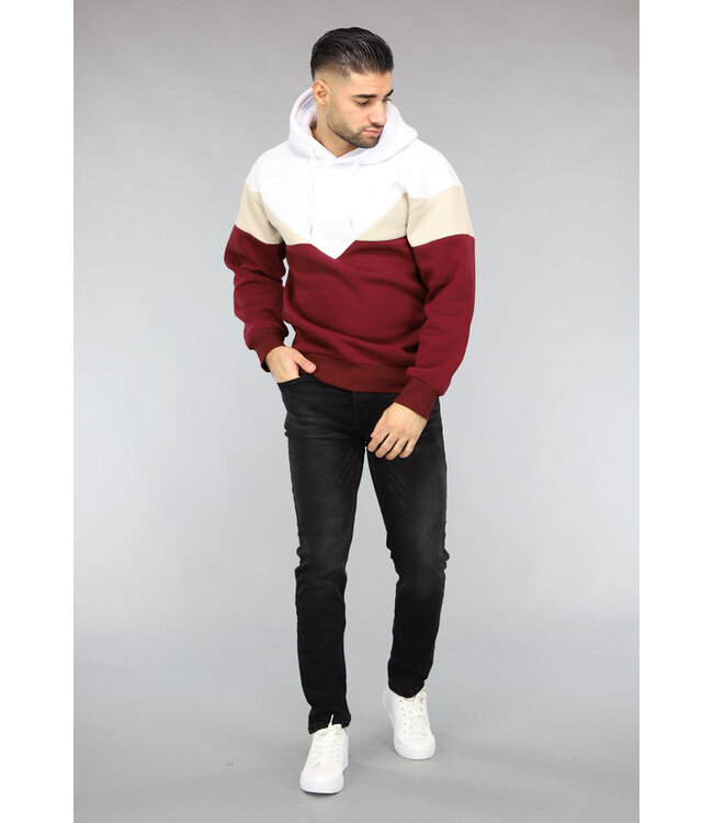 Multicolor Heren Hoodie Zonder Zak
