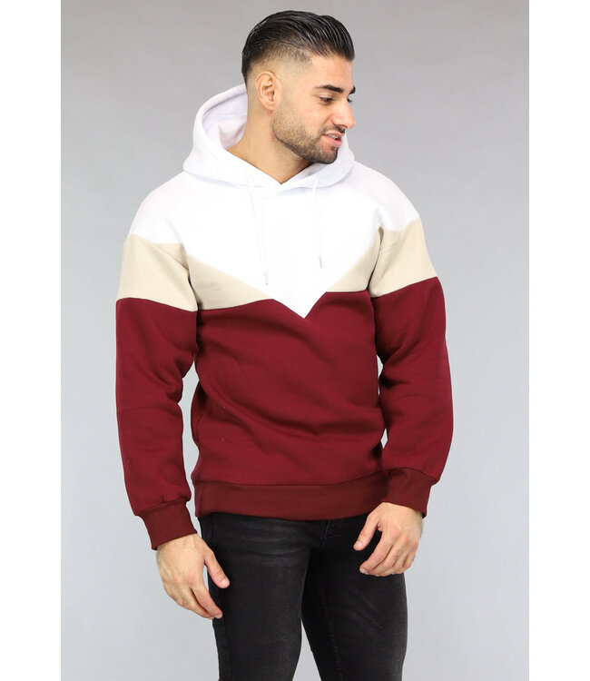Multicolor Heren Hoodie Zonder Zak