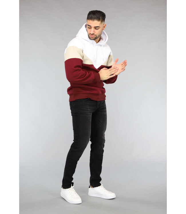 Multicolor Heren Hoodie Zonder Zak