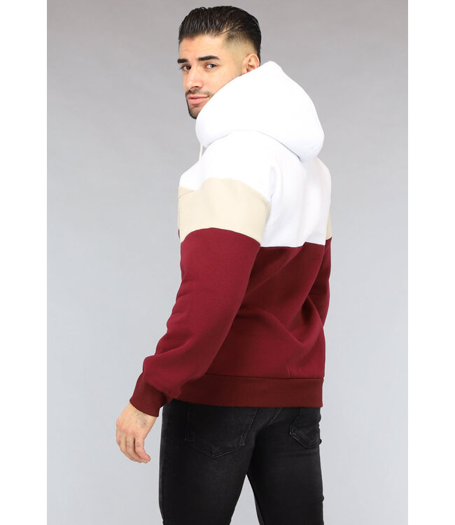 Multicolor Heren Hoodie Zonder Zak