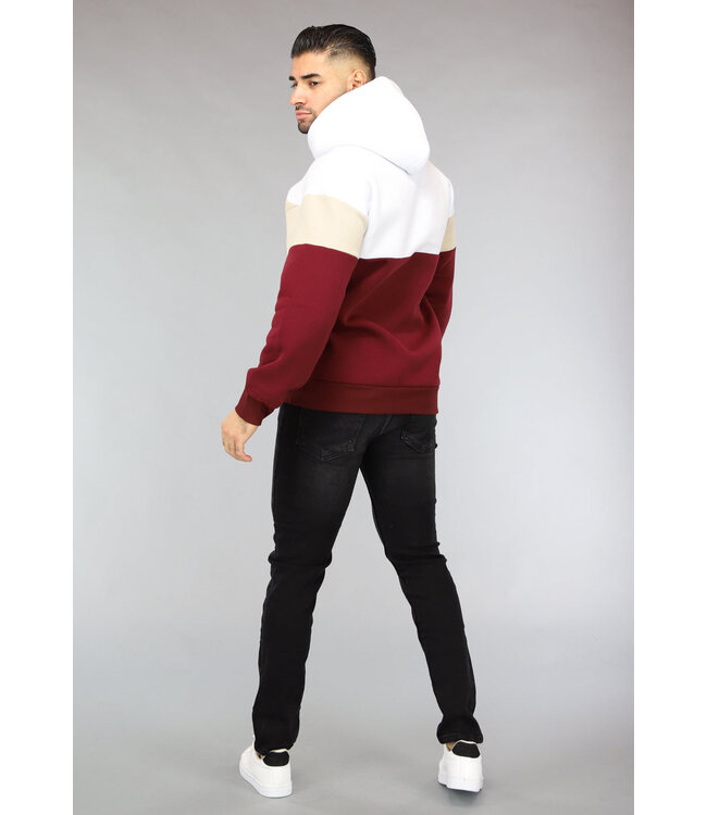 Multicolor Heren Hoodie Zonder Zak