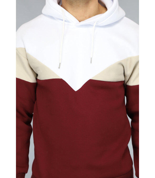 Multicolor Heren Hoodie Zonder Zak