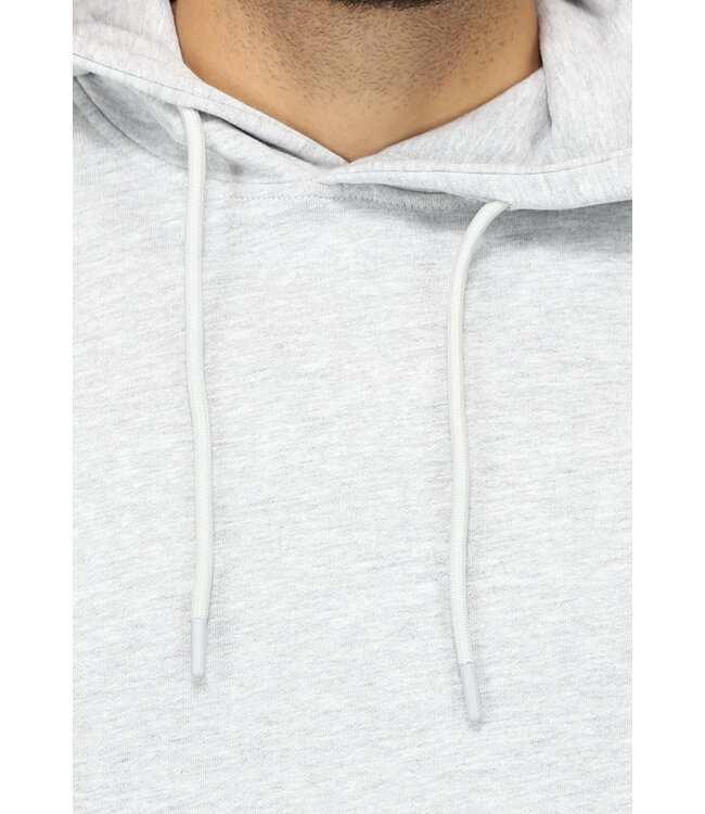 NEW0902 Grijze Basic Heren Hoodie