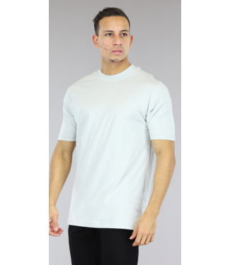 NEW2403 Grijs Effen Mannen T-Shirt