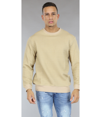 Beige Heren Trui met Geblokt Patroon