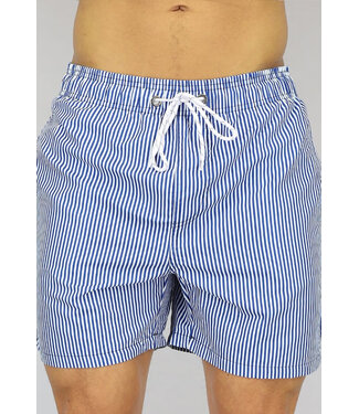 Blauw Gestreepte Heren Zwembroek