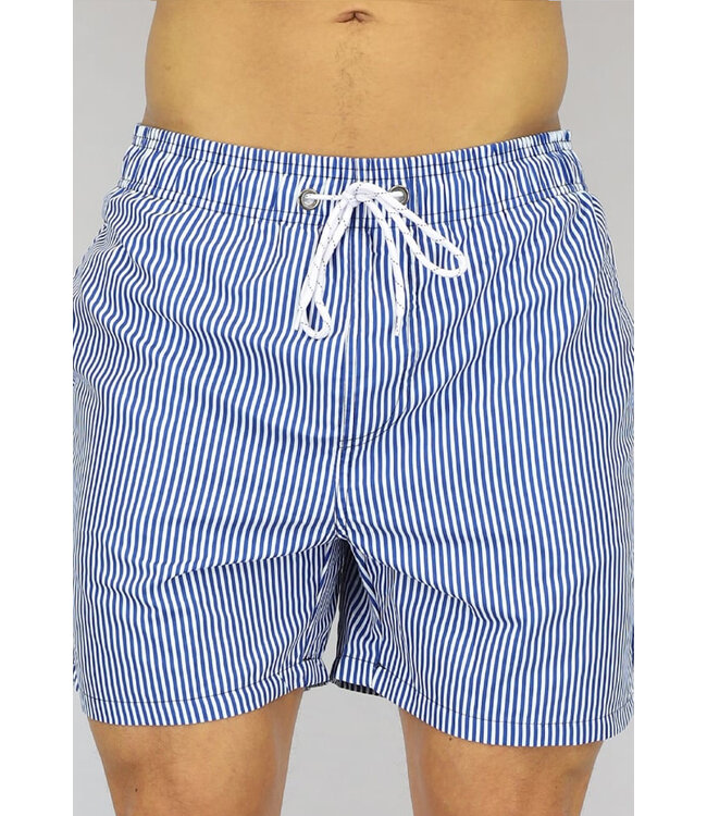 Blauw Gestreepte Heren Zwembroek