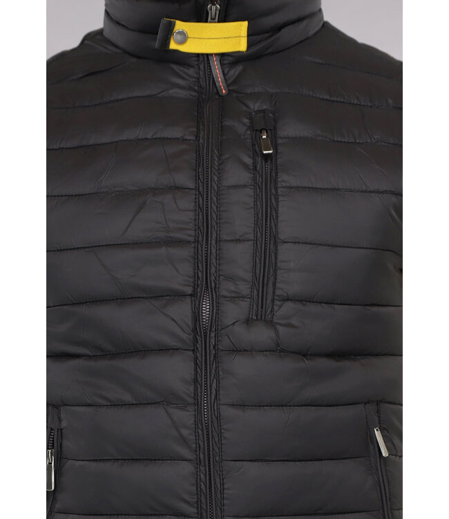 NEW2903 Zwarte Gewatteerde Heren Bodywarmer