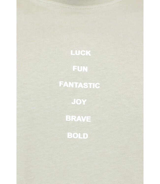 Taupe Heren T Shirt met Quotev