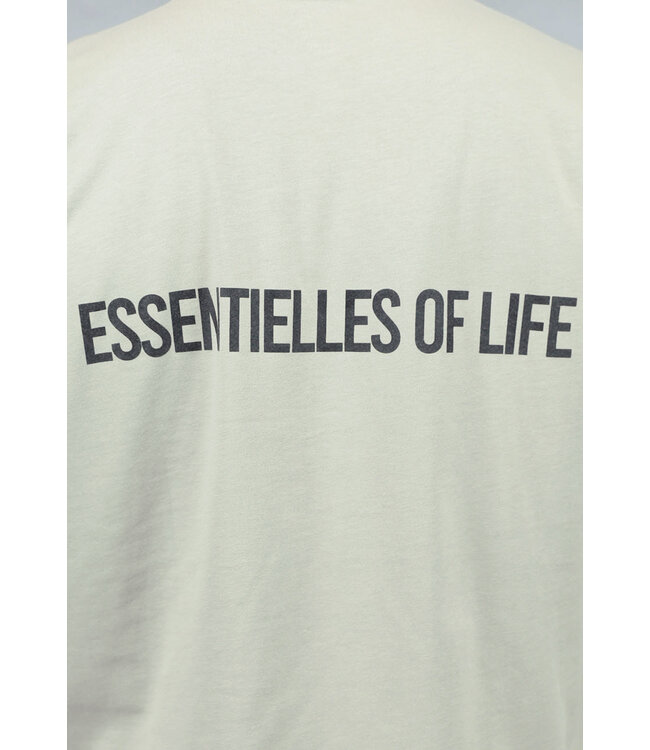 Taupe Heren T Shirt met Korte Mouwen en Tekst