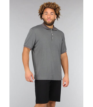 Grijze Heren Poloshirt met Drukknoopjes